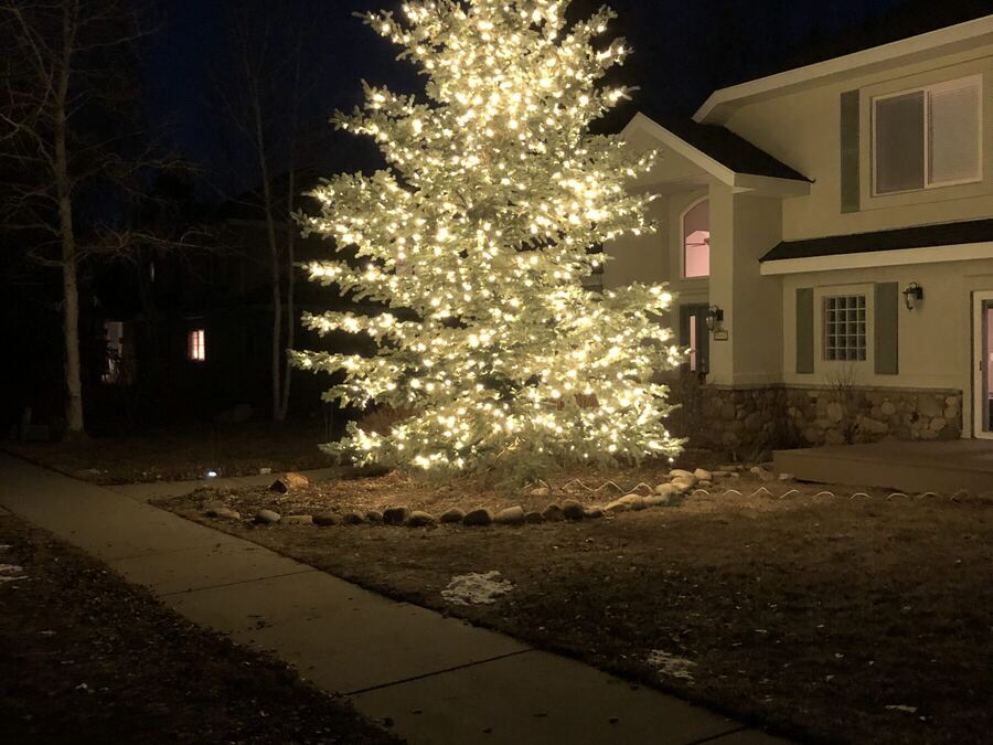 A large tree lit beside the house