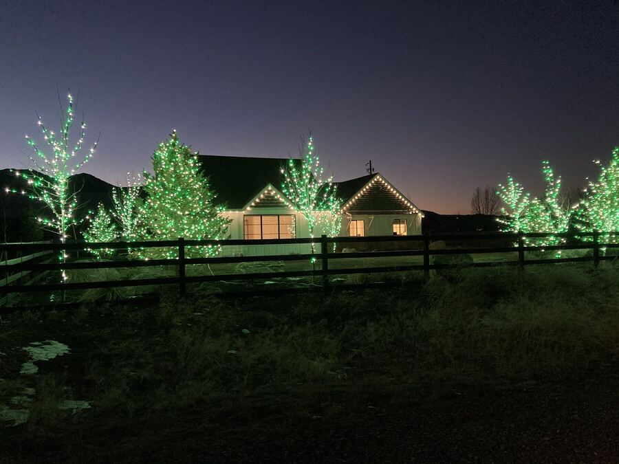 Green trees and warm windows at dusk