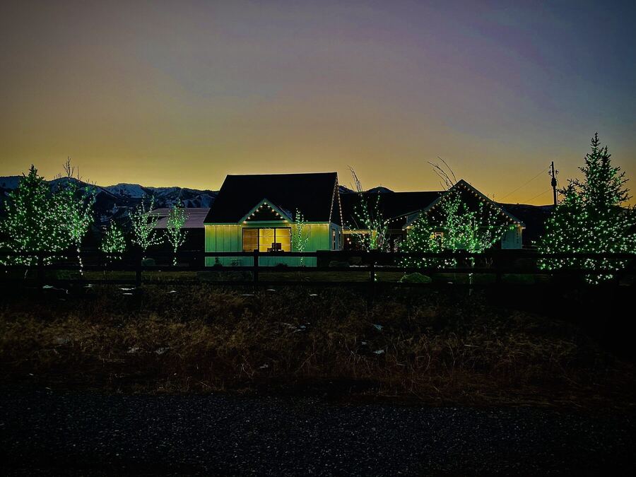 Green-lit trees along a ranch at sunset