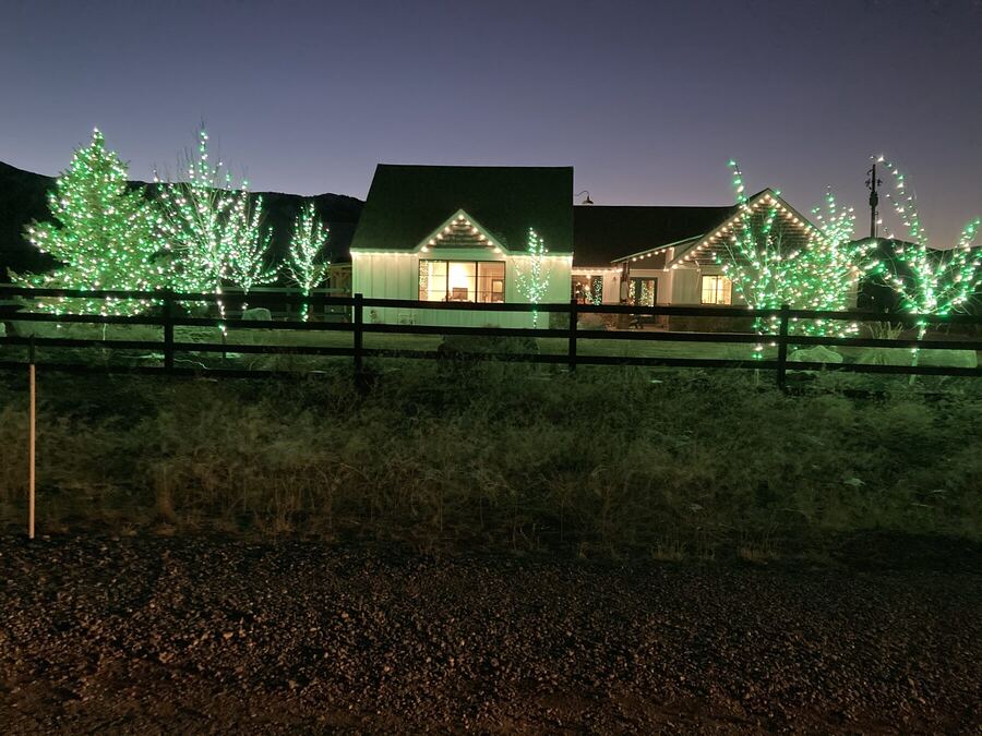A warm roofline against green-lit trees